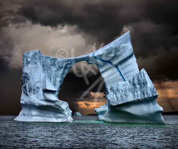Wild Bight iceberg north